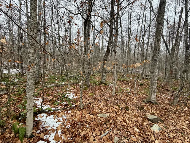 $22,000 | Lot 104 Hornbeam Ridge Road, Dexter, ME 04930