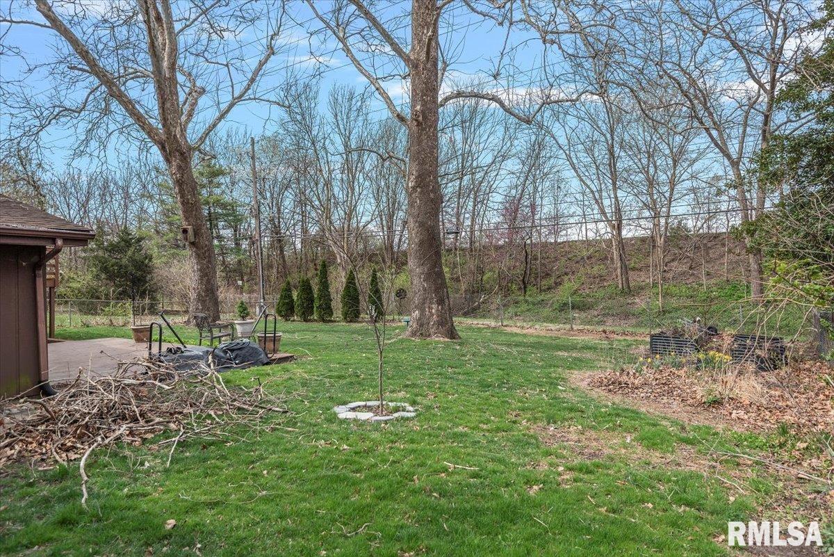 61 Bellerive Road Springfield, IL 62704 - Photo 54 of 63