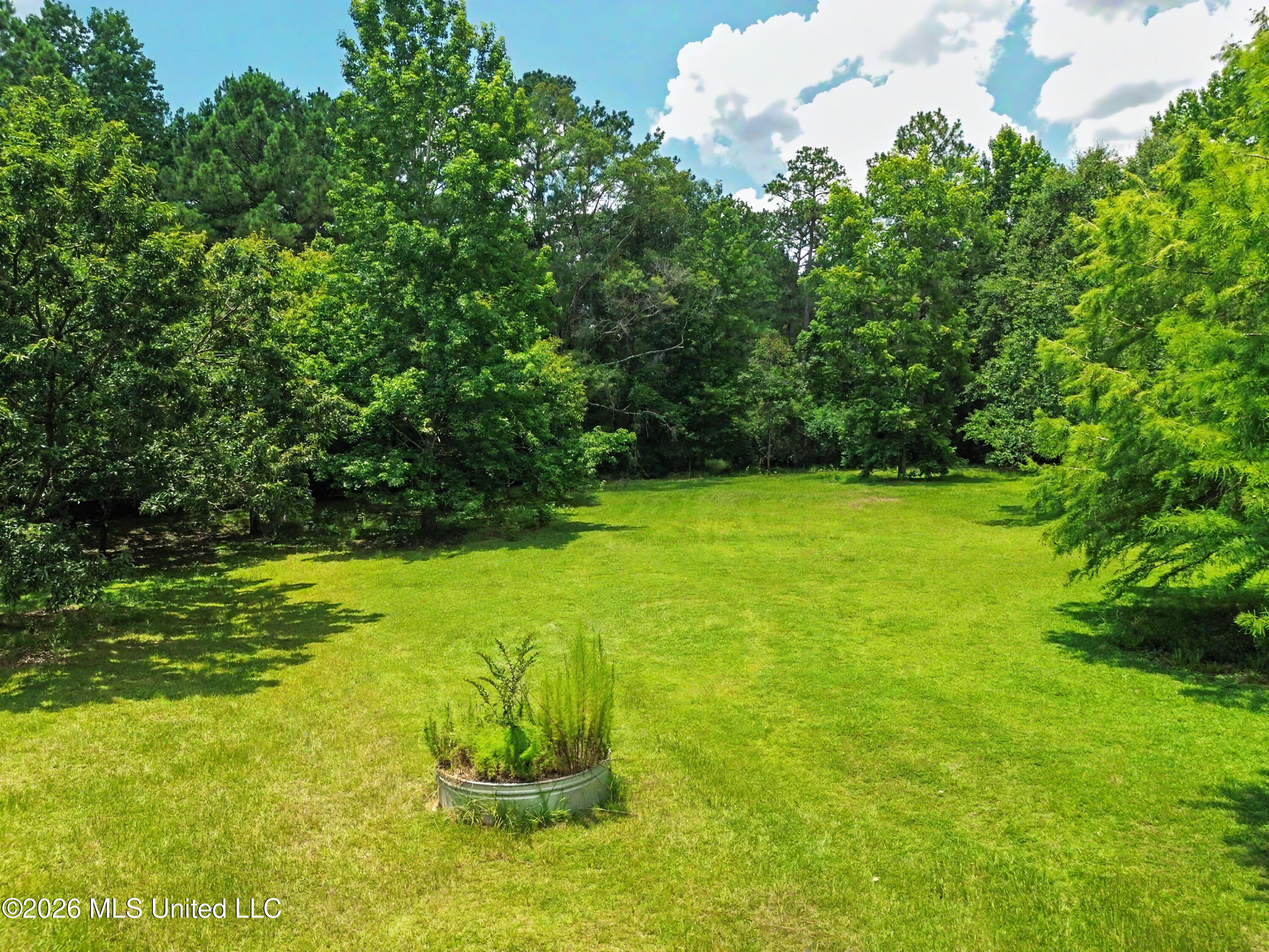 202 St John Road Brooklyn, MS 39425 - Photo 5 of 28 DJI_0199