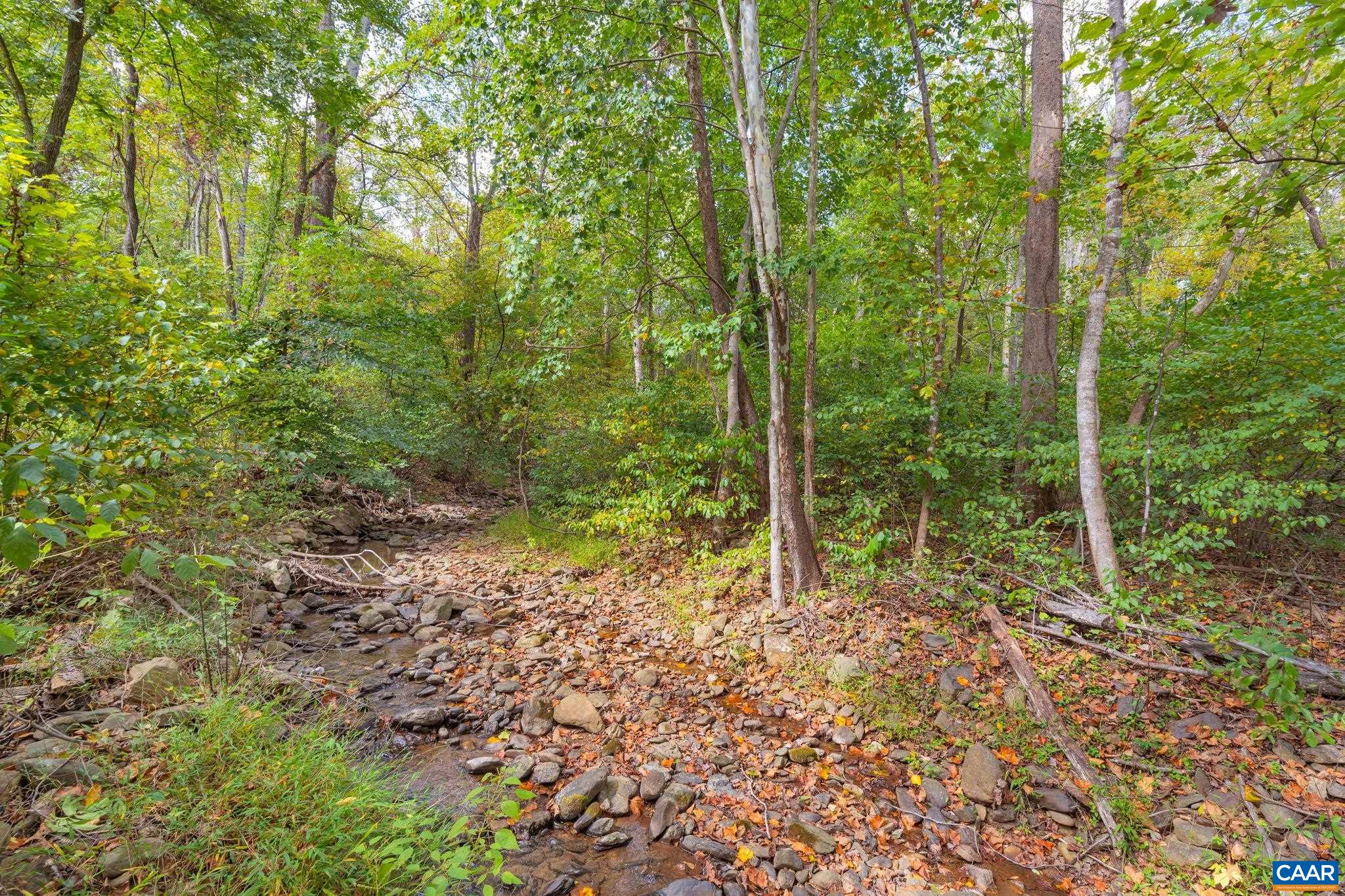 46 Spirit Ridge Lane Afton, VA 22920 - Photo 4 of 75 Gallery Image 4