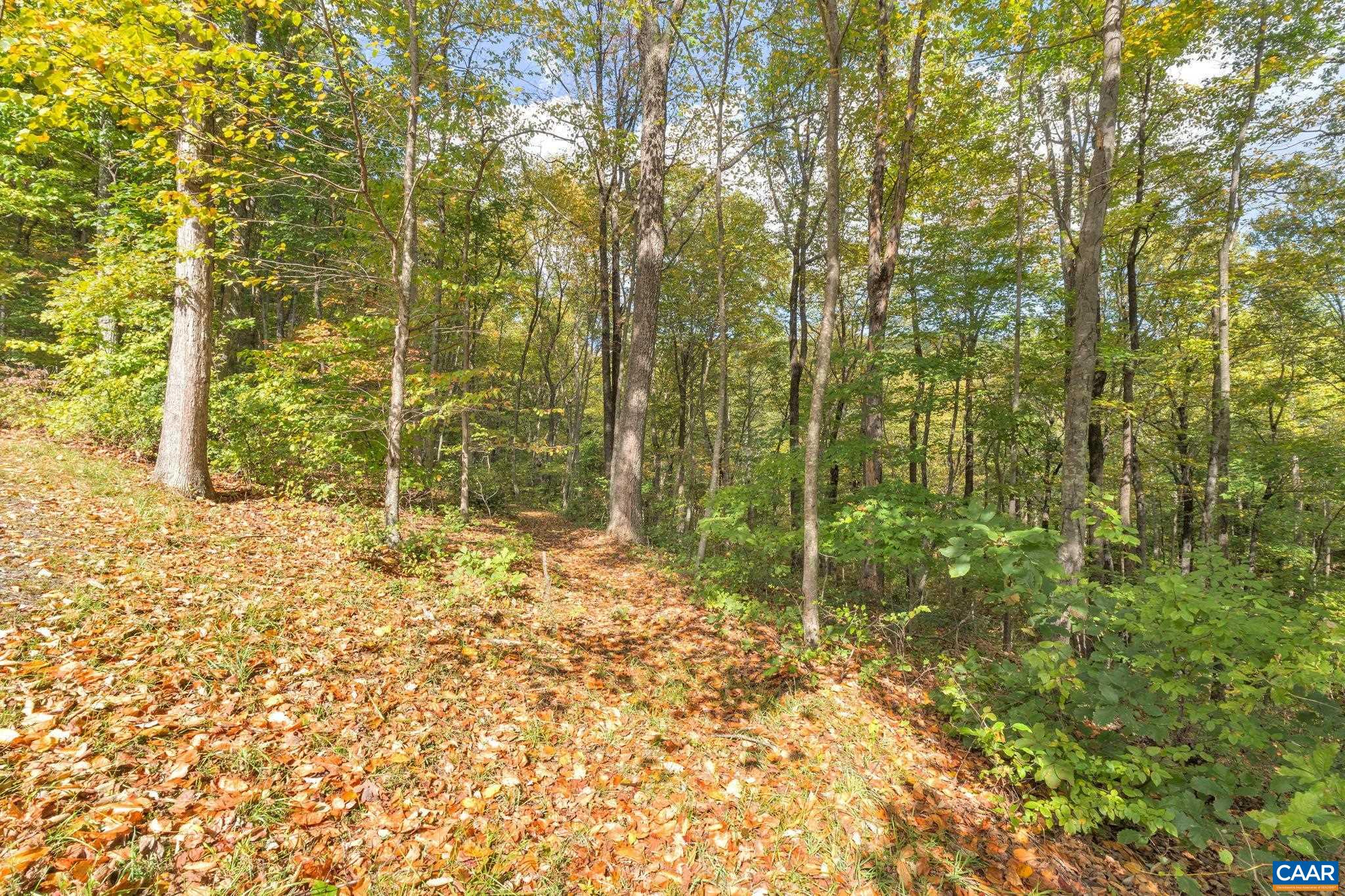 46 Spirit Ridge Lane Afton, VA 22920 - Photo 72 of 75 Gallery Image 72