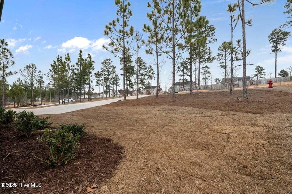 1025 Ivory Lane West End, NC 27376 - Photo 4 of 18 1025 Ivory ln