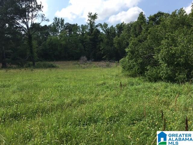 37-acres Joy Road, Unit 37 ACRES Hayden, AL 35079 - Photo 8 of 17