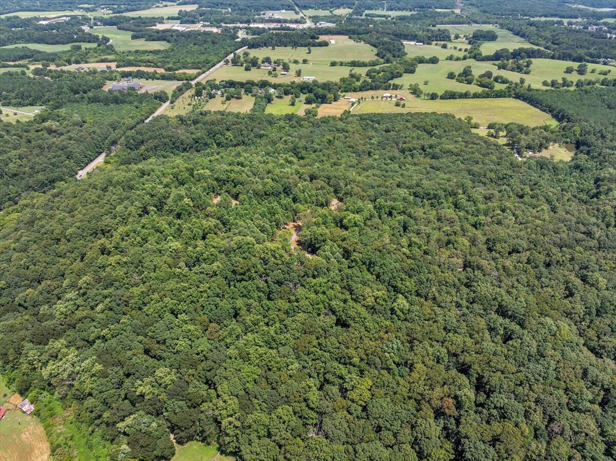 20-acres Meers Road Northwest Dalton, GA 30721 - Photo 13 of 15 19-DJI_20250726135406_0148_D
