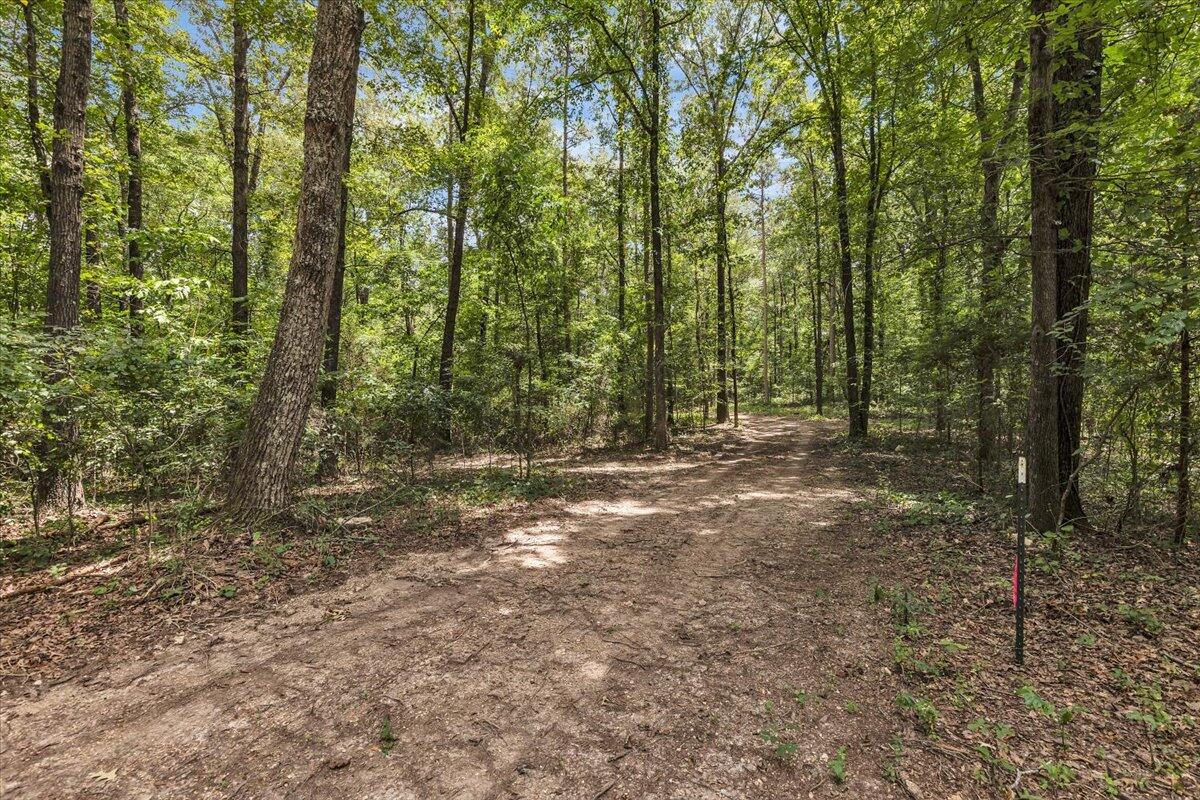 20-acres Meers Road Northwest Dalton, GA 30721 - Photo 14 of 15 43-4I7A8911