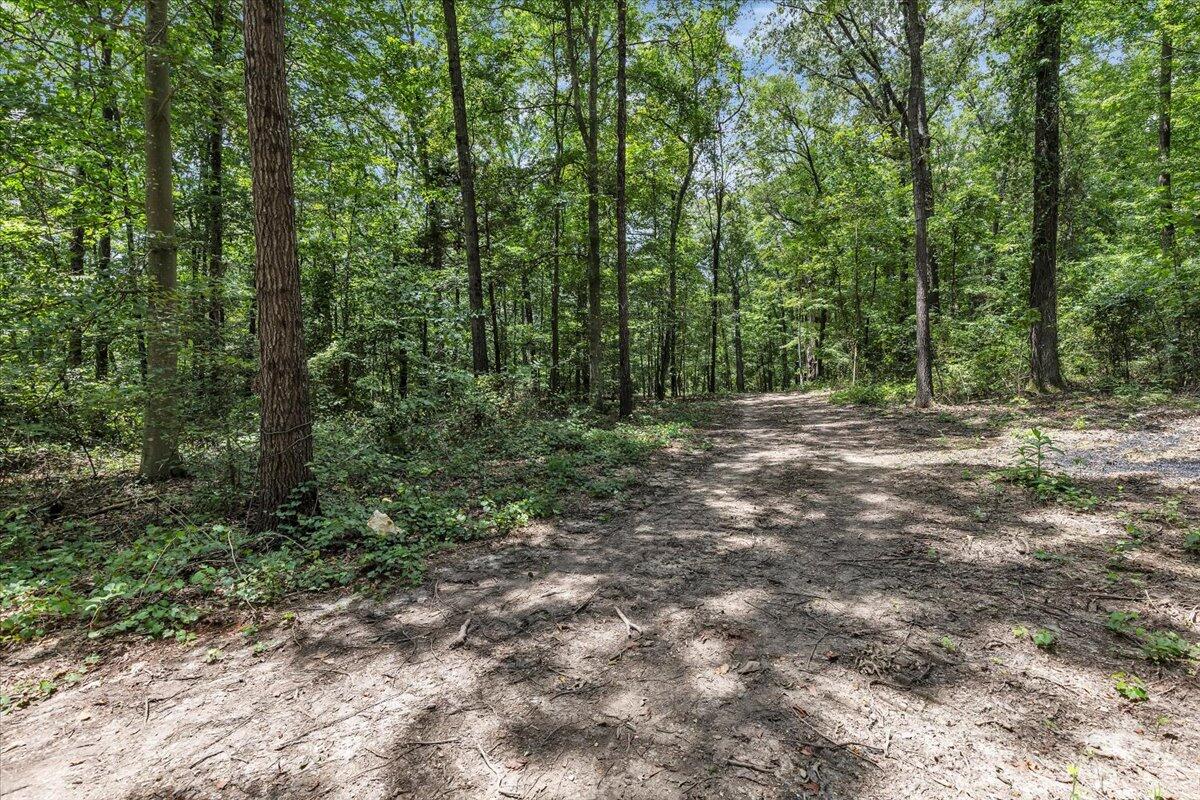 20-acres Meers Road Northwest Dalton, GA 30721 - Photo 15 of 15 44-4I7A8906