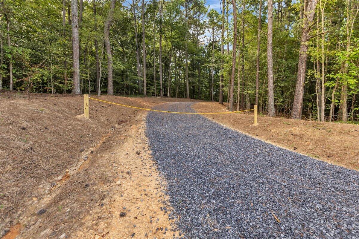 20-acres Meers Road Northwest Dalton, GA 30721 - Photo 2 of 15 20-4I7A9040