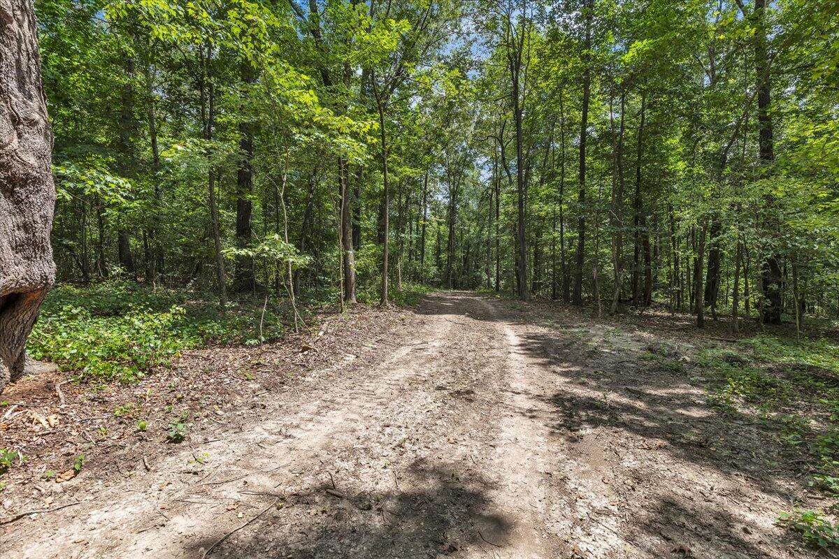 20-acres Meers Road Northwest Dalton, GA 30721 - Photo 4 of 15 46-4I7A8896