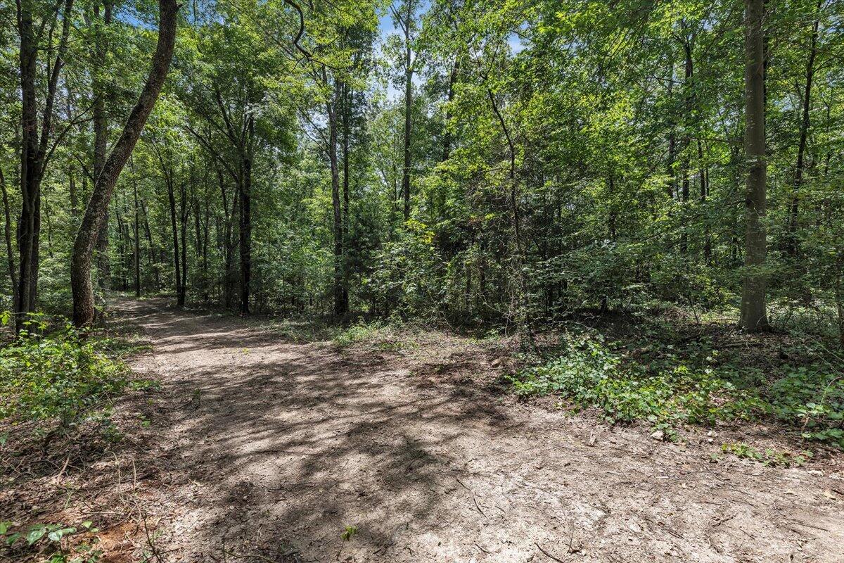 20-acres Meers Road Northwest Dalton, GA 30721 - Photo 5 of 15 45-4I7A8901