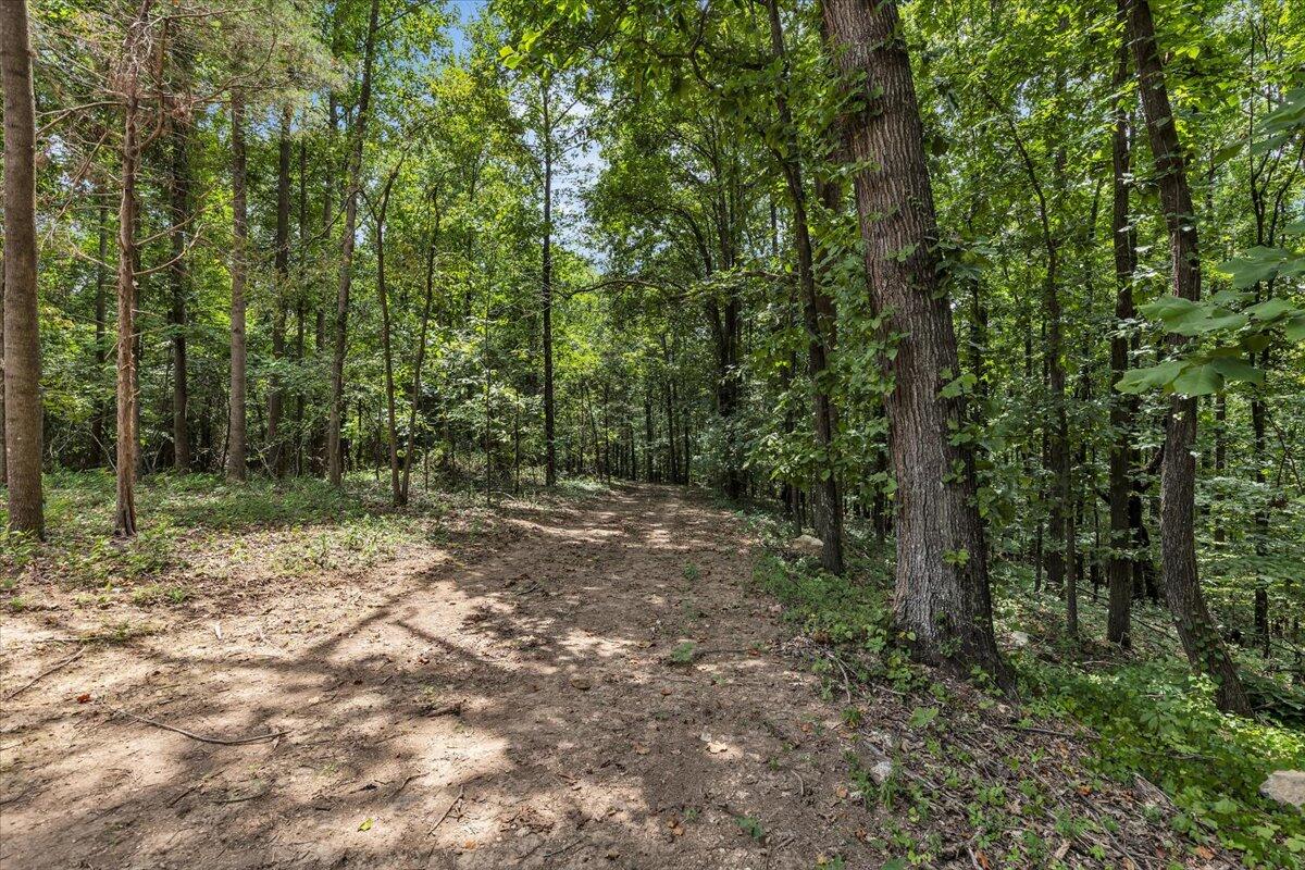 20-acres Meers Road Northwest Dalton, GA 30721 - Photo 6 of 15 48-4I7A8886