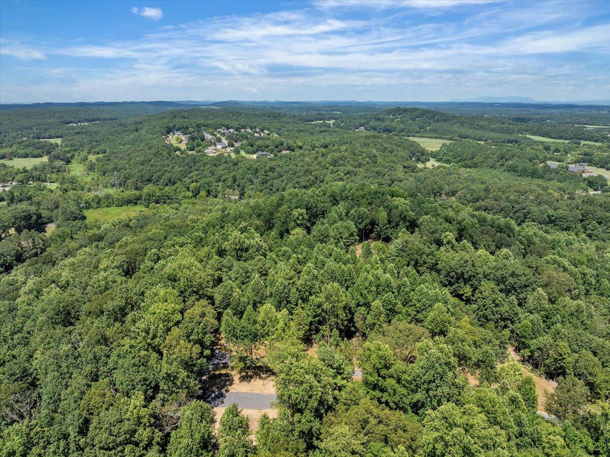 20-acres Meers Road Northwest Dalton, GA 30721 - Photo 7 of 15 07-DJI_20250726140342_0213_D