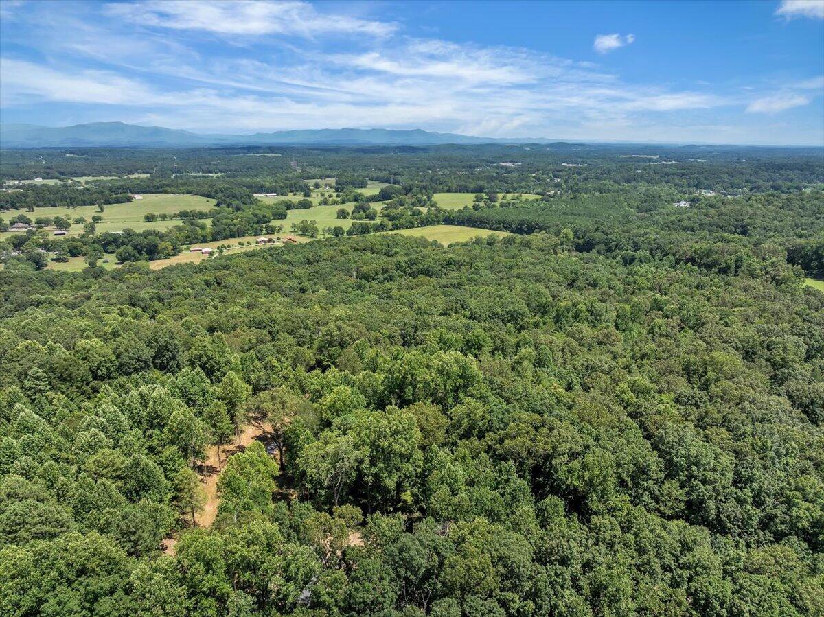 20-acres Meers Road Northwest Dalton, GA 30721 - Photo 8 of 15 08-DJI_20250726140232_0208_D