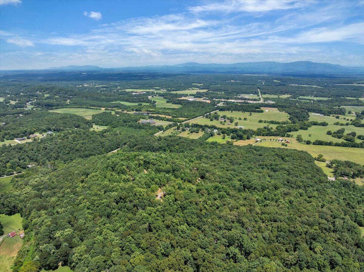20-acres Meers Road Northwest Dalton, GA 30721 - Photo 10 of 15 16-DJI_20250726135630_0163_D