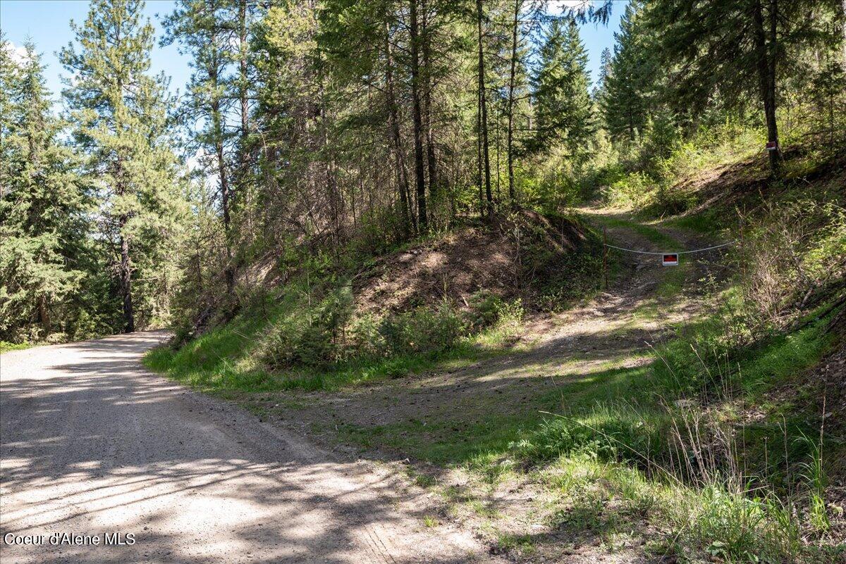 Nna North Corbin Hill Road Athol, ID 83801 - Photo 14 of 20 16-DSC_5617