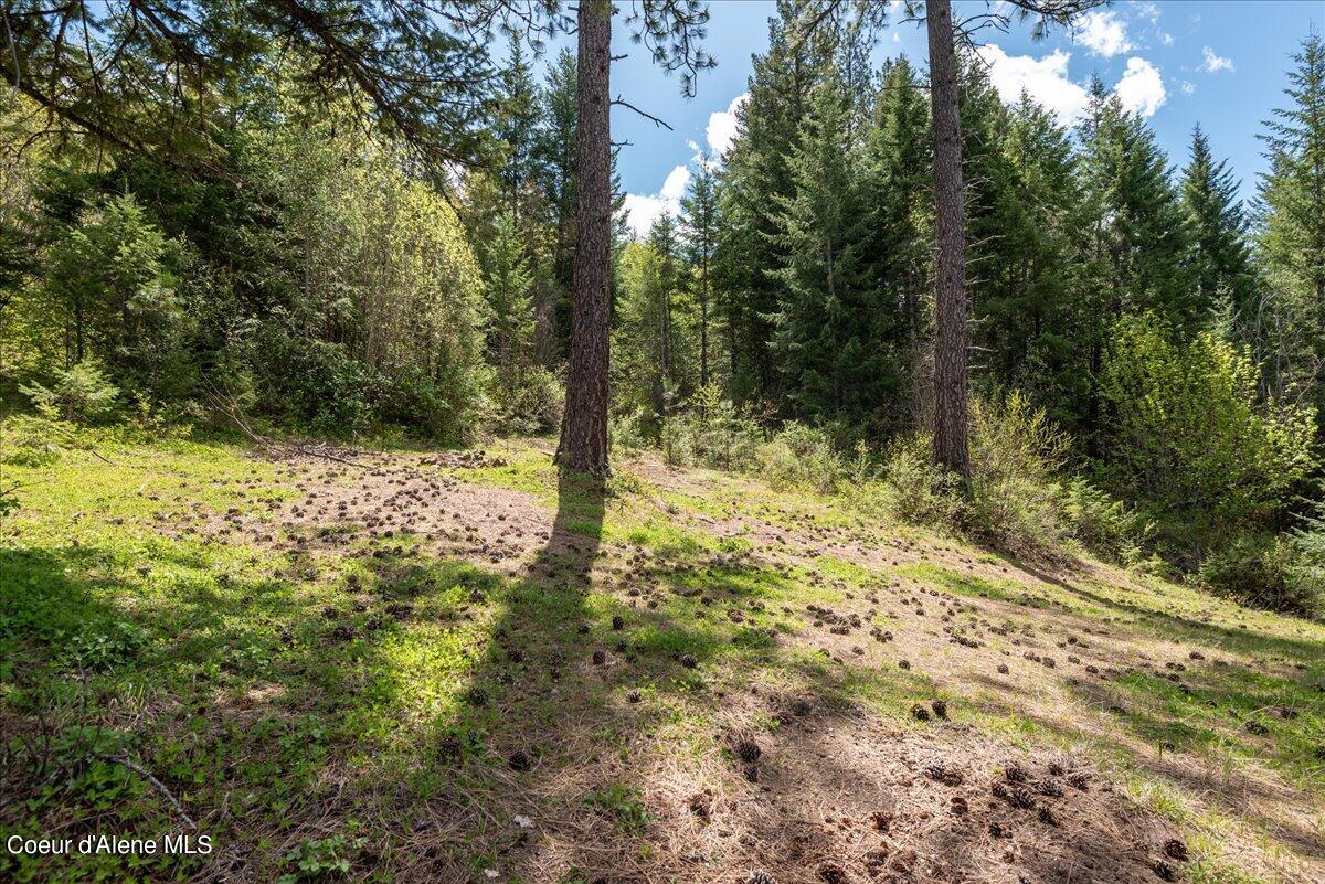 Nna North Corbin Hill Road Athol, ID 83801 - Photo 17 of 20 20-DSC_5621