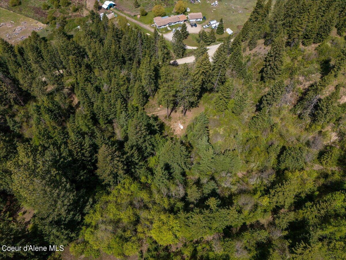 Nna North Corbin Hill Road Athol, ID 83801 - Photo 9 of 20 09-DJI_20240503121316_0263_D