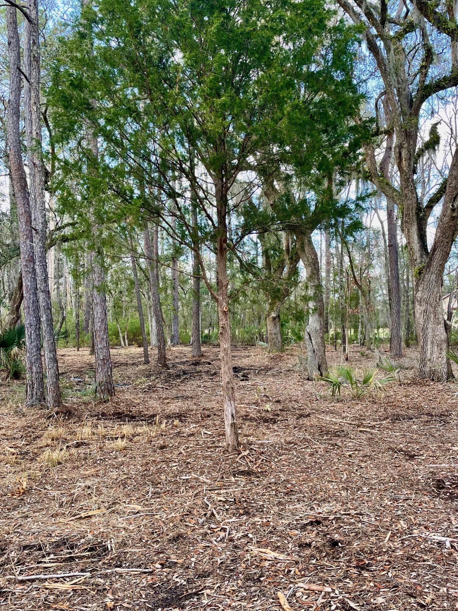 Lot D-2 Toogoodoo Road Meggett, SC 29449 - Photo 6 of 10