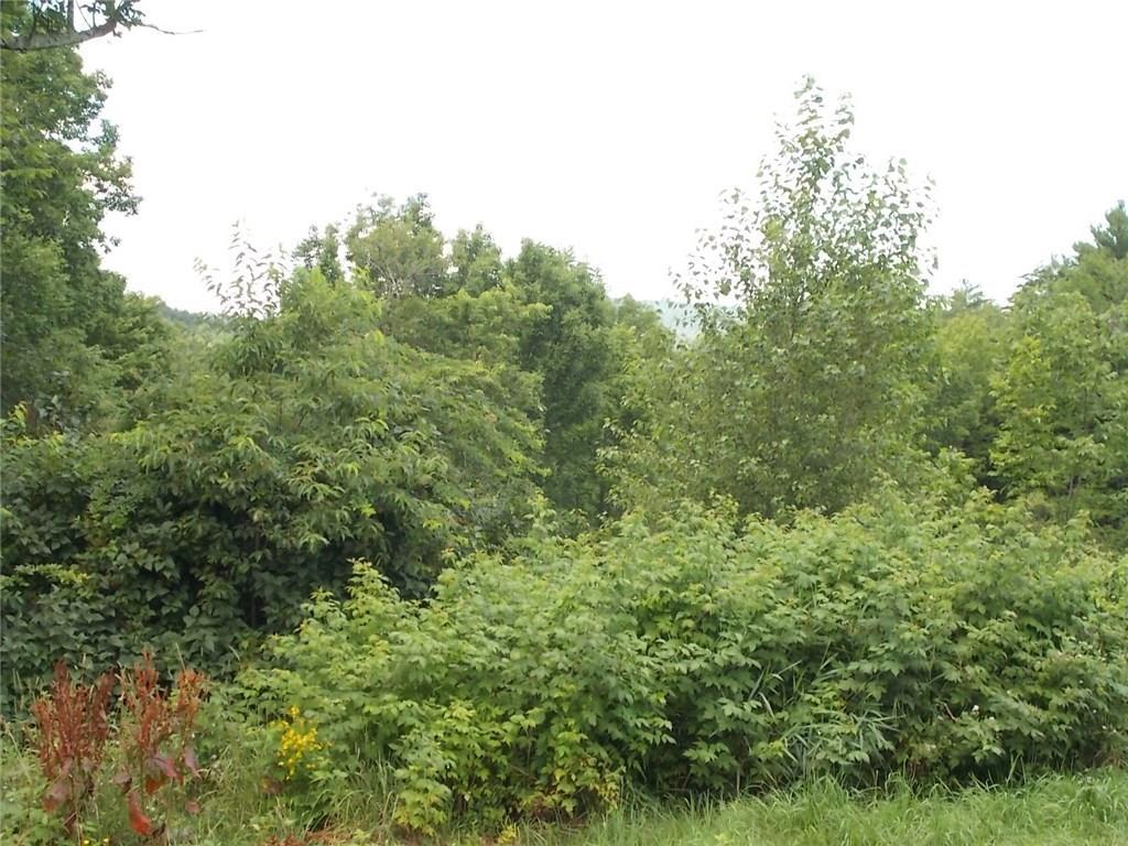 8 Graffam Road Baldwin, ME 04091 - Photo 15 of 16 Photo