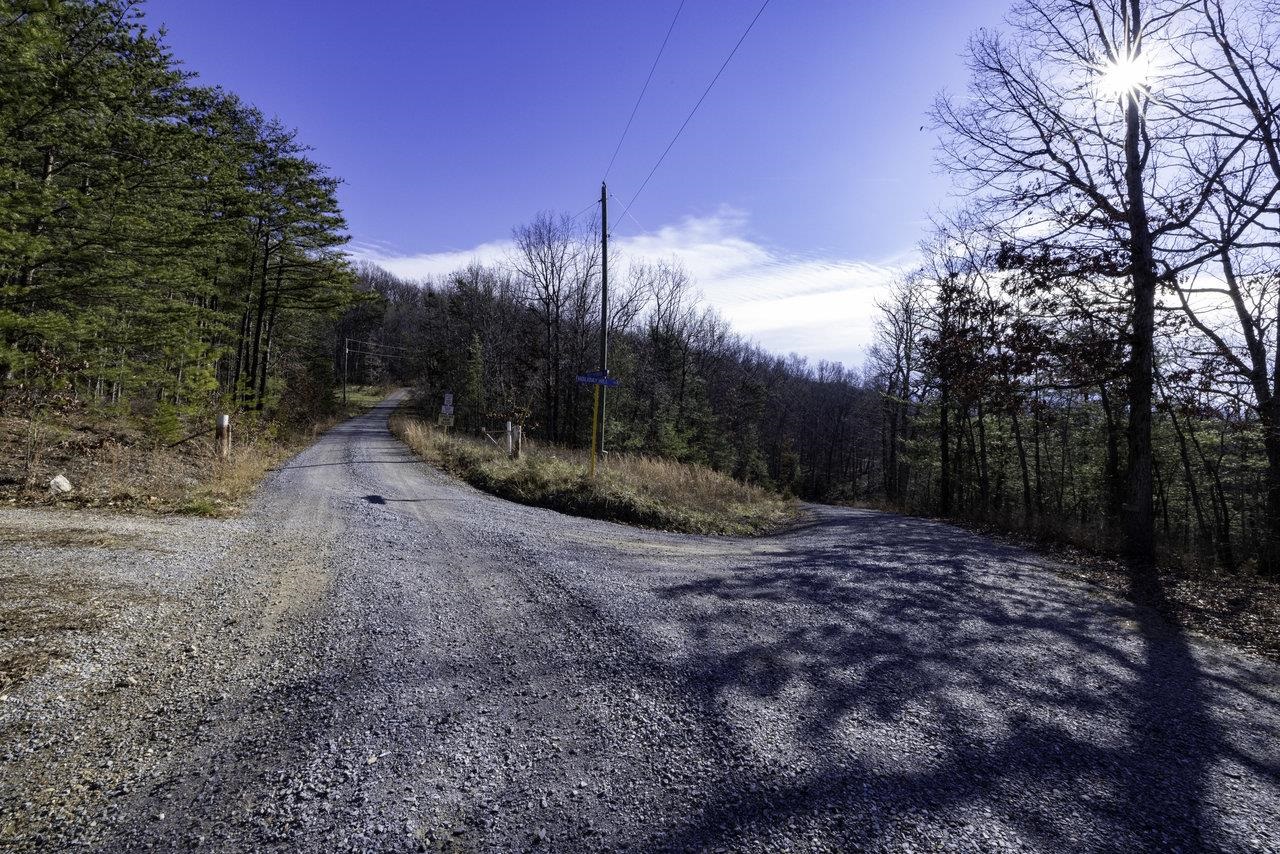 0 Holliday Hill Road Luray, VA 22835 - Photo 15 of 18 a view of a dry yard with trees