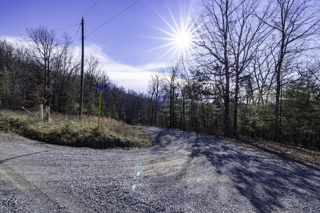 0 Holliday Hill Road Luray, VA 22835 - Photo 16 of 18