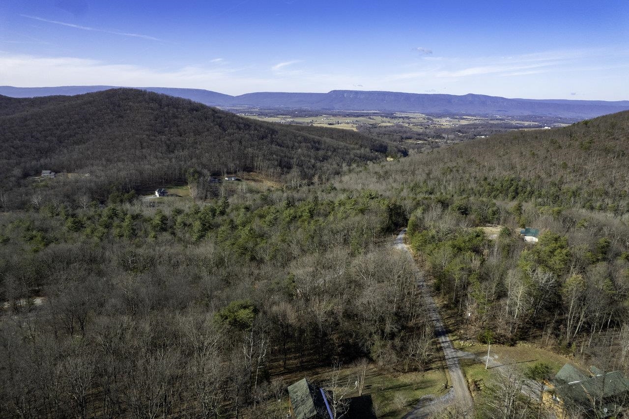 0 Holliday Hill Road Luray, VA 22835 - Photo 6 of 18 a view of a forest with mountains in the background
