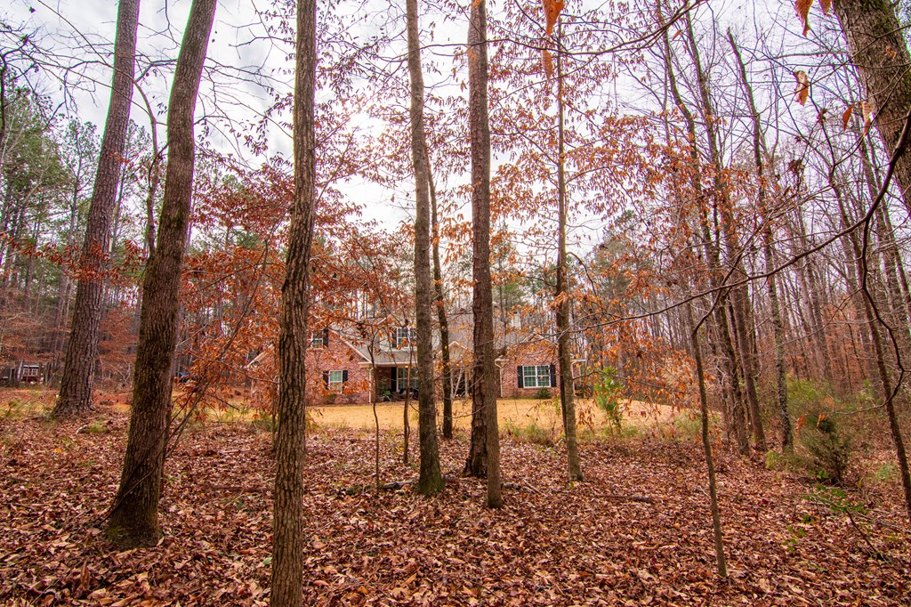 3337 Lower Blue Springs Road Hamilton, GA 31811 - Photo 61 of 66