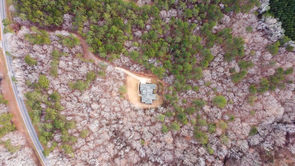 3337 Lower Blue Springs Road Hamilton, GA 31811 - Photo 64 of 66