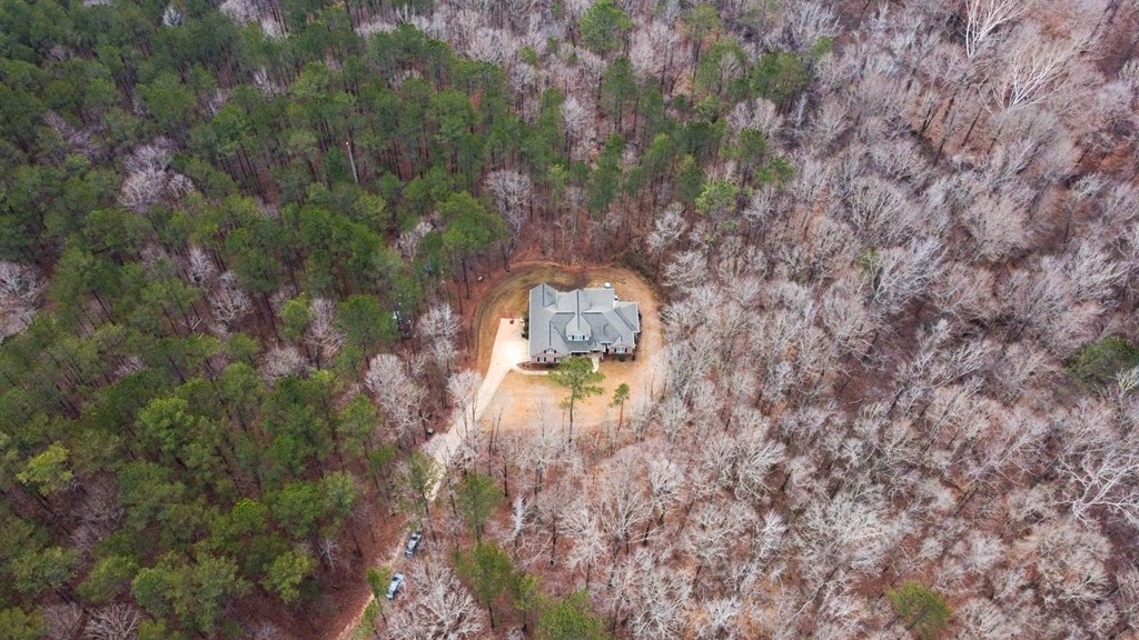 3337 Lower Blue Springs Road Hamilton, GA 31811 - Photo 65 of 66