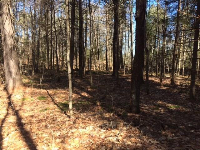 0 Mill Pond Road Durham, ME 04222 - Photo 2 of 10 Photo