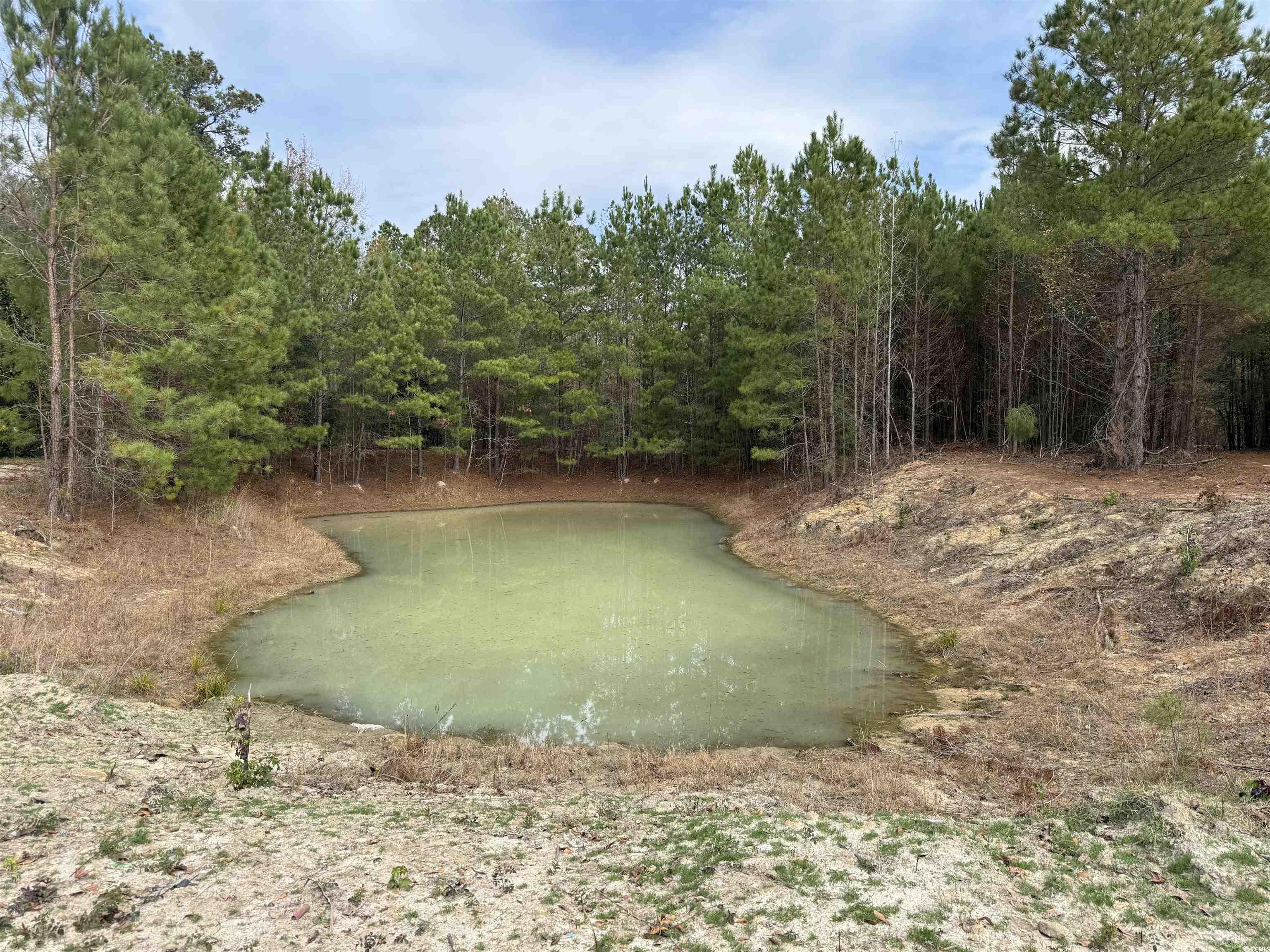 7262 North Brewington Road Alcolu, SC 29001 - Photo 17 of 18