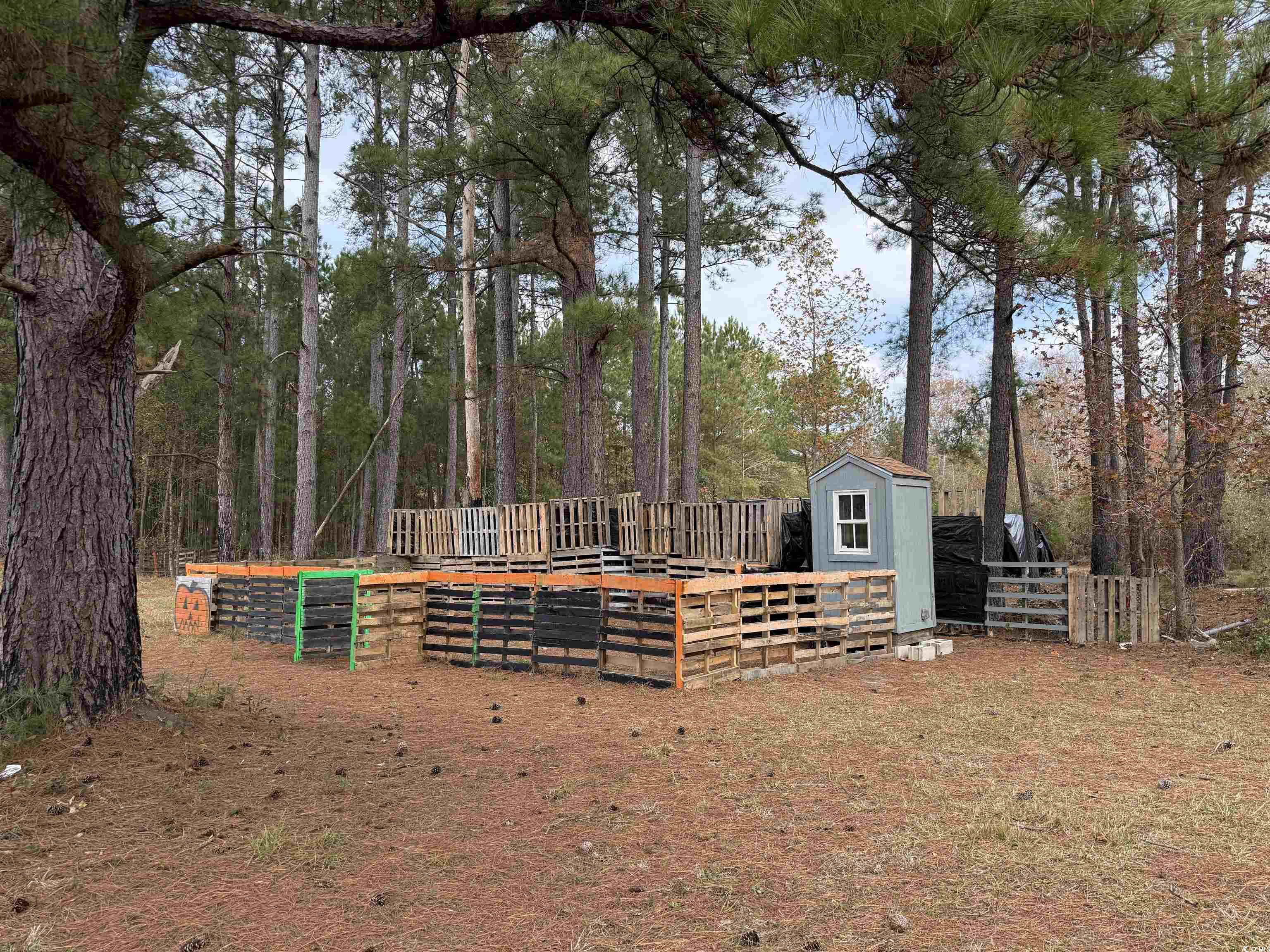 7262 North Brewington Road Alcolu, SC 29001 - Photo 18 of 18