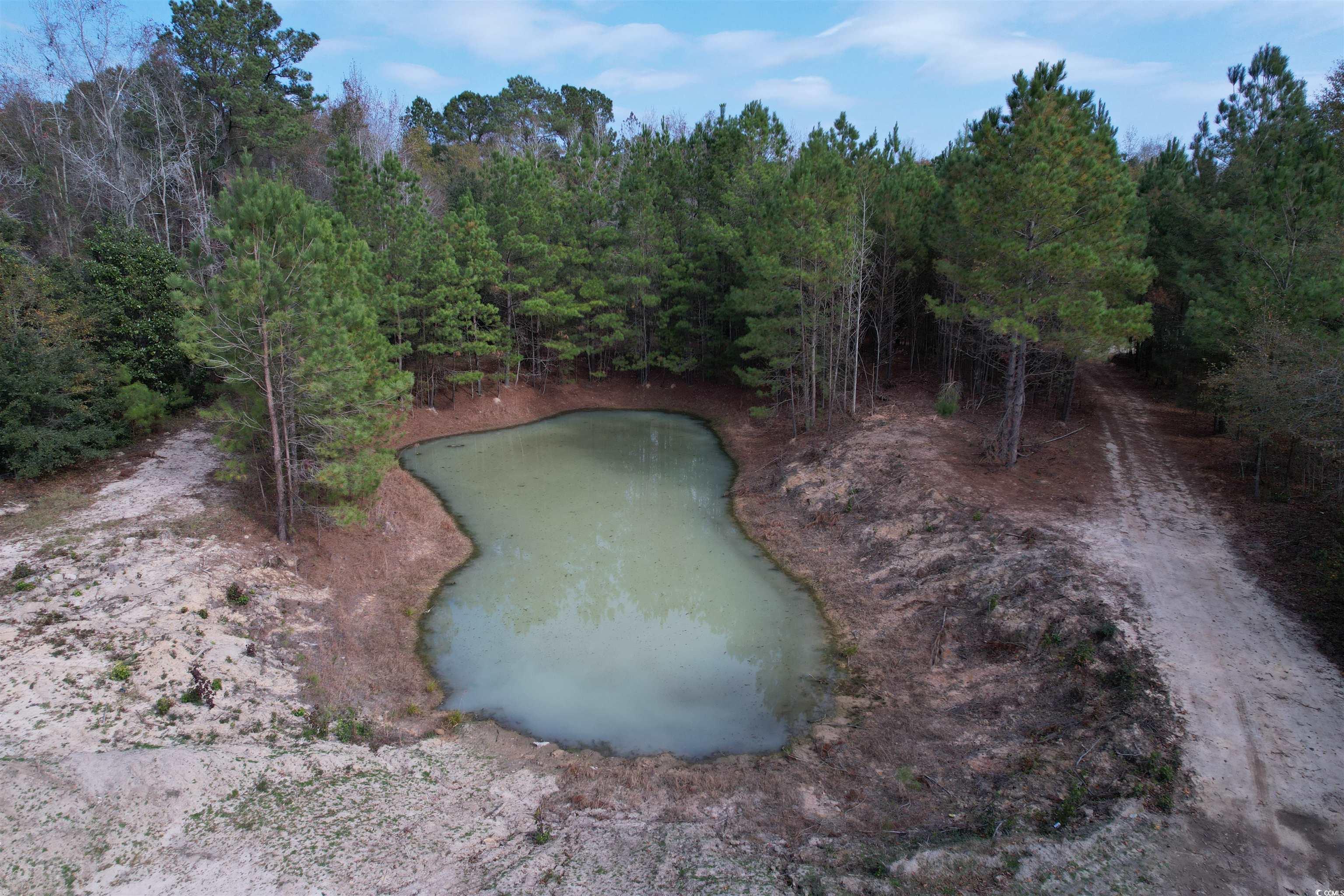 7262 North Brewington Road Alcolu, SC 29001 - Photo 6 of 18