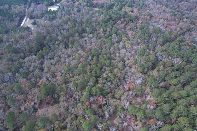 $335,000 | 7262 North Brewington Road, Alcolu, SC 29001