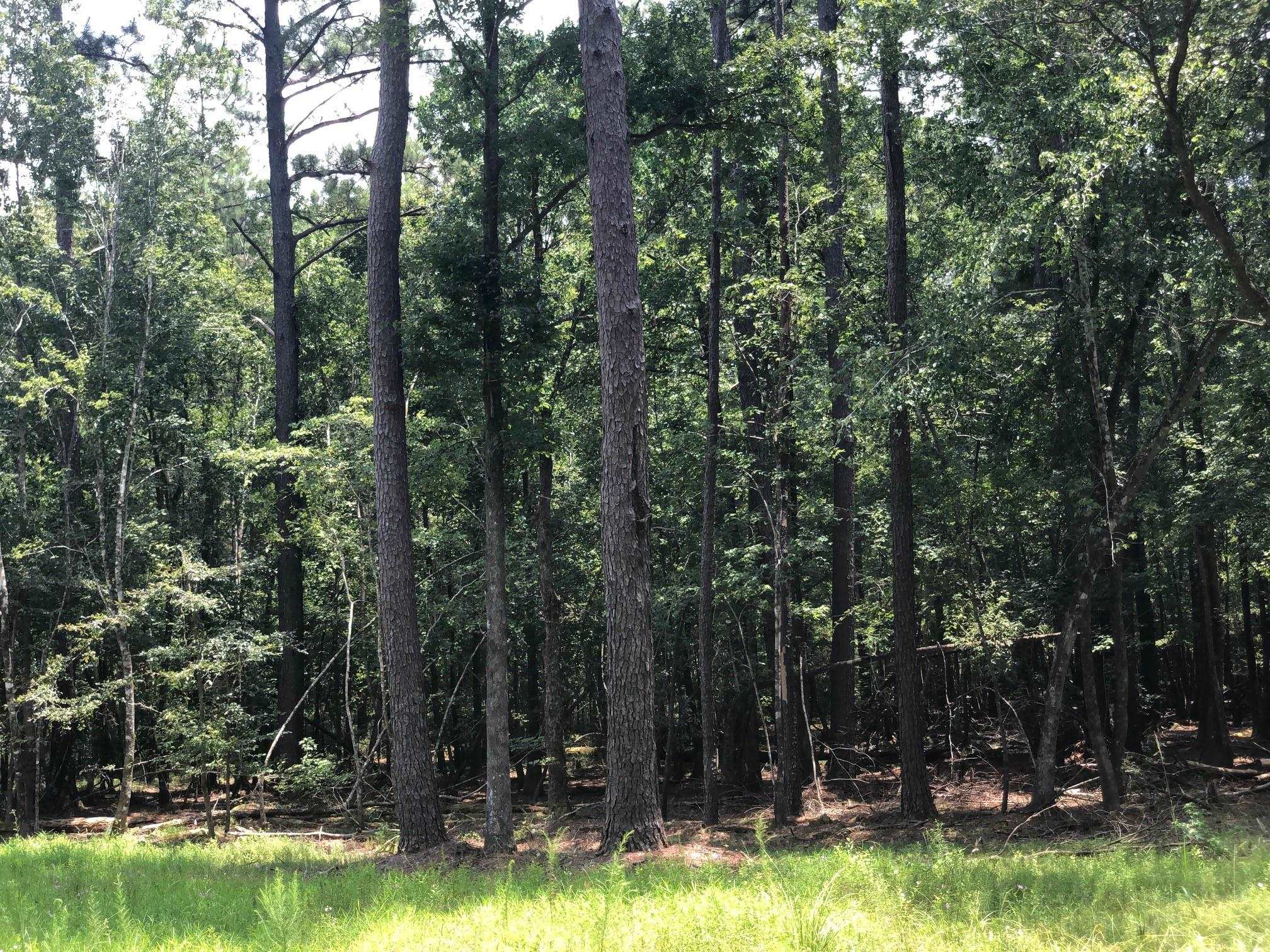 10280 Old Stage Road Stockton, AL 36579 - Photo 8 of 9