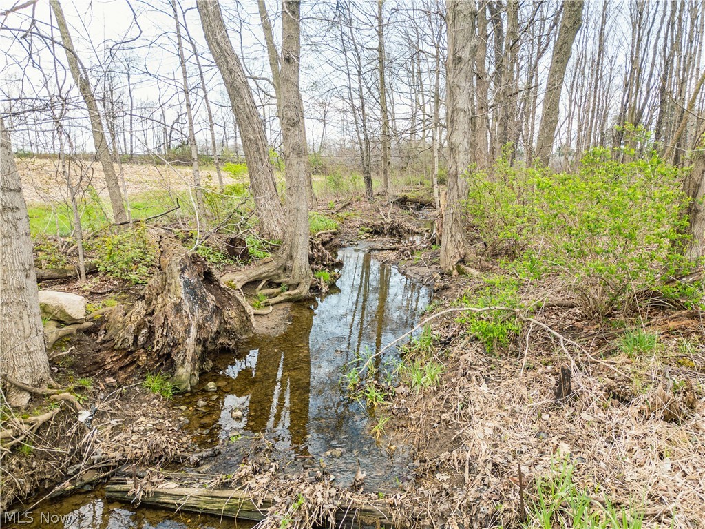 Steiner Road Sterling, OH 44276 - Photo 14 of 22