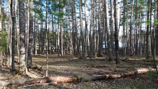 $389,000 | Lt0 Rads Lane, Eagle River, WI 54521