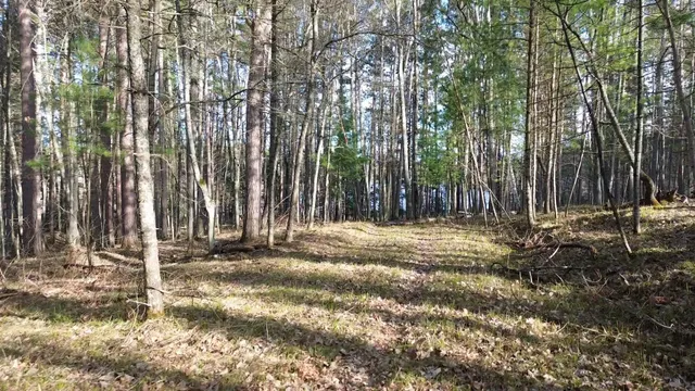$389,000 | Lt0 Rads Lane, Eagle River, WI 54521