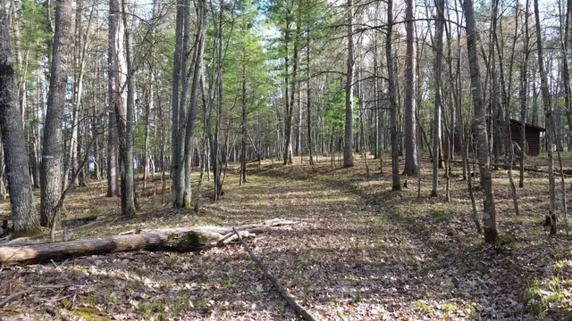 $389,000 | Lt0 Rads Lane, Eagle River, WI 54521
