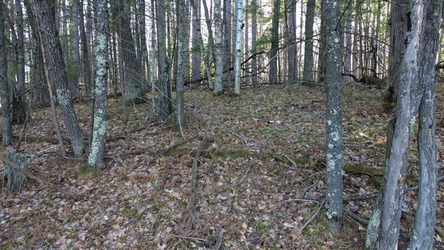 $389,000 | Lt0 Rads Lane, Eagle River, WI 54521