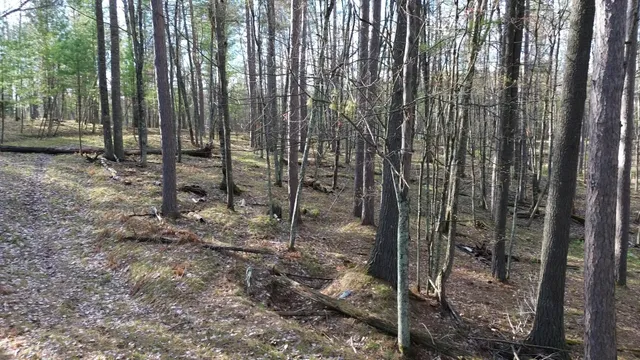 $389,000 | Lt0 Rads Lane, Eagle River, WI 54521