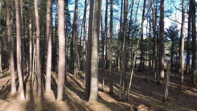 $389,000 | Lt0 Rads Lane, Eagle River, WI 54521