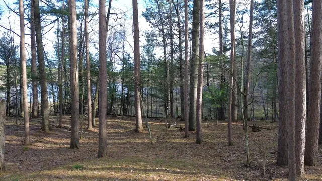 $389,000 | Lt0 Rads Lane, Eagle River, WI 54521