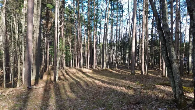 $389,000 | Lt0 Rads Lane, Eagle River, WI 54521