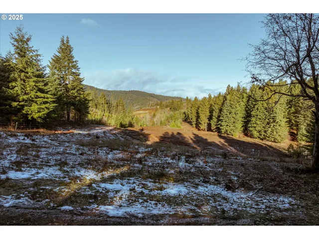 a view of outdoor space with green space