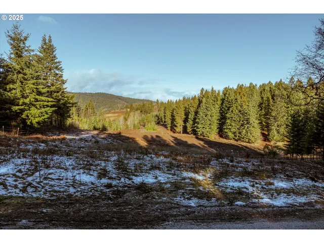 a view of outdoor space