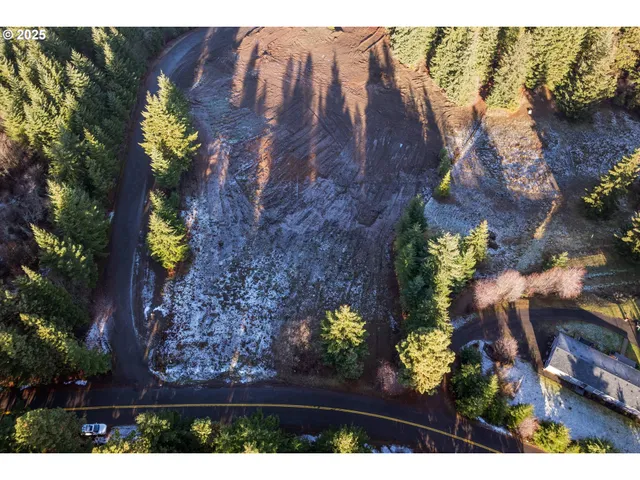 a view of outdoor space with yard