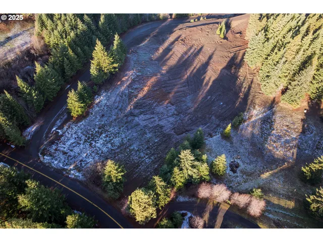 a view of a yard with street