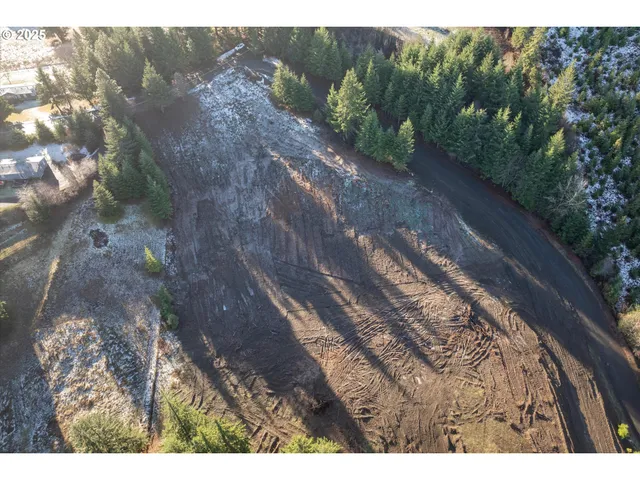 a view of a yard street