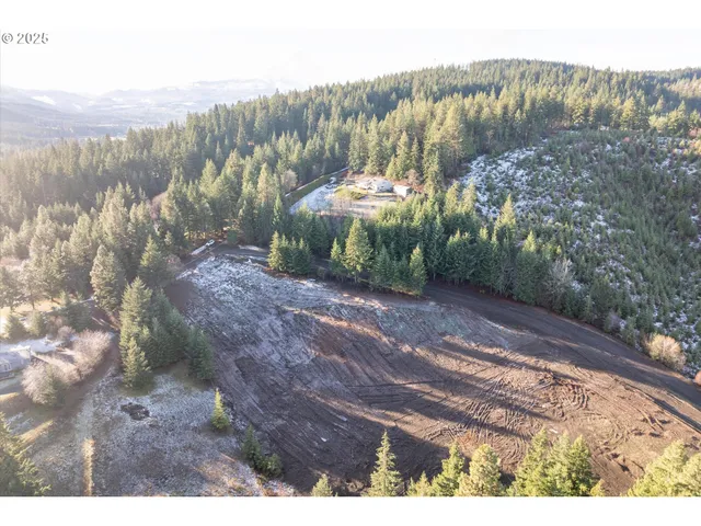 a view of a dry yard with trees in the background