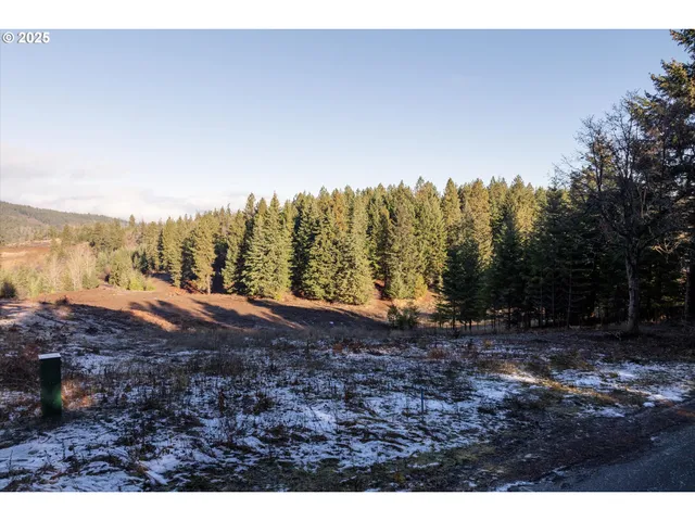 a view of a yard with wooden fence